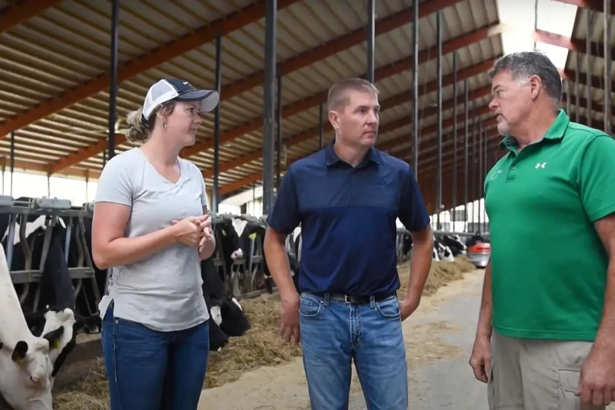 Ag banker walking through a modern dairy barn inspecting dairy cows feeding.