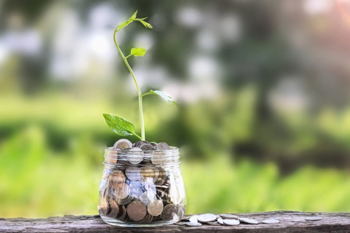 Money-market-accounts