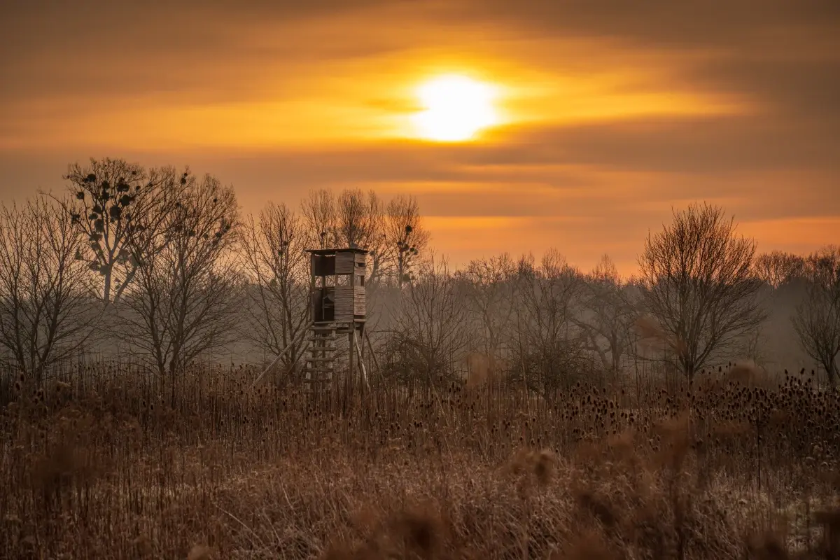 hunting-recreational-land-sunset-1200x800